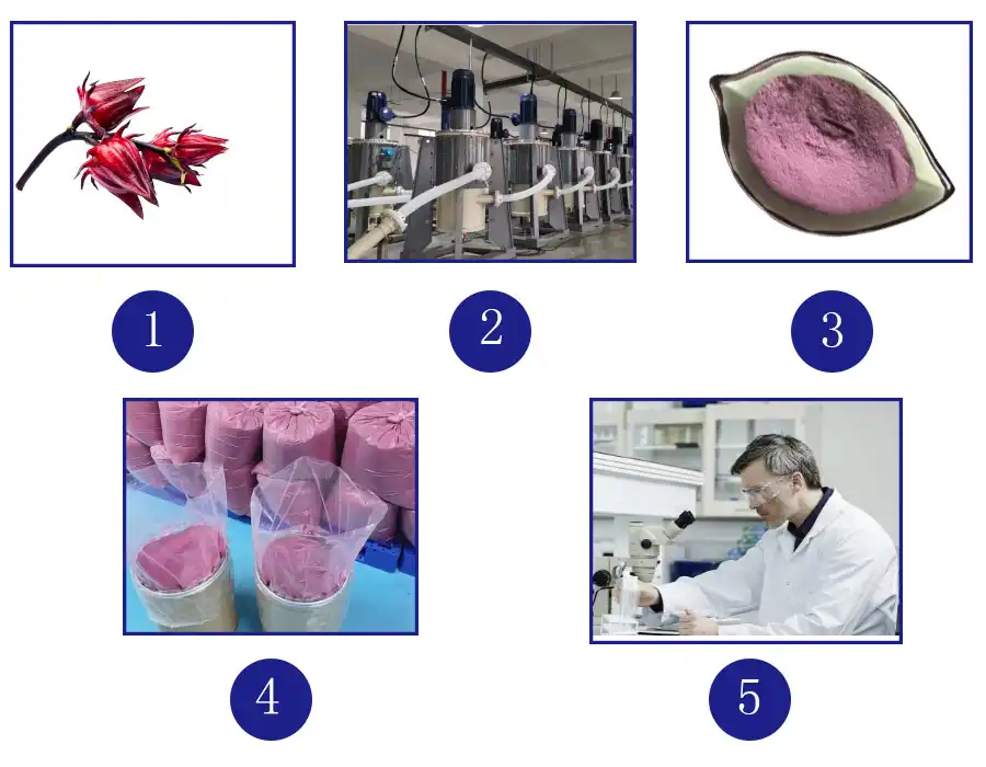 Hibiscus Sabdariffa  powder.jpg